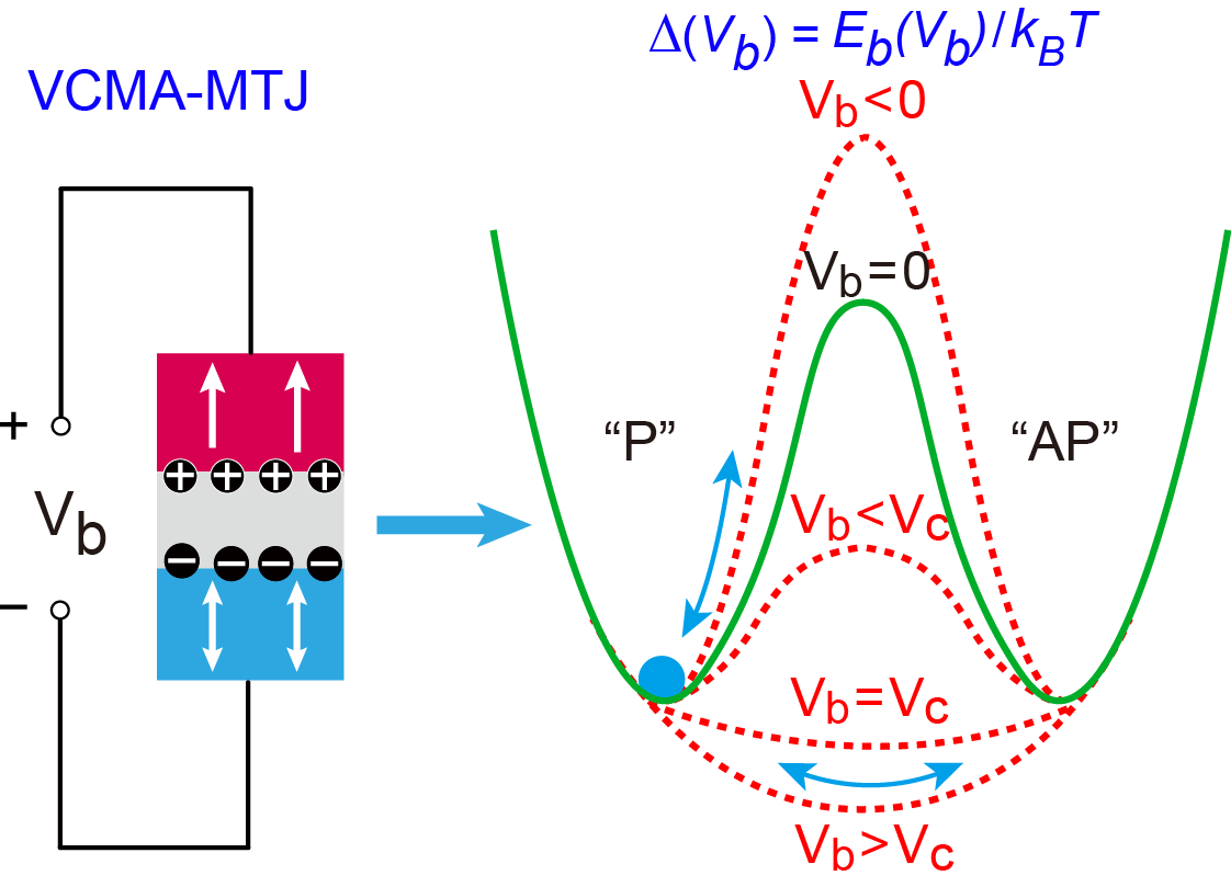 Compact modeling of perpendicular anisotropy co feb mgo mtj